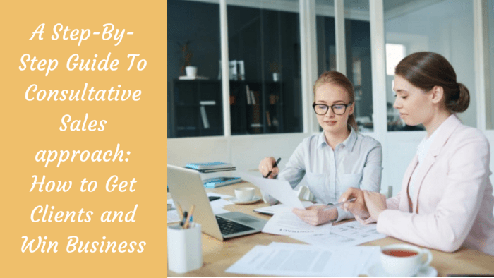 Consultative Sales Process | CRM Strategy for Small Businesses